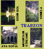 Uzungol Ayder Rhododendrums Azalea Hot Springs Black Sea Mountains Tea Factories Rise Rise Tea Institute
